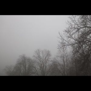 Meet your Posher, Dae